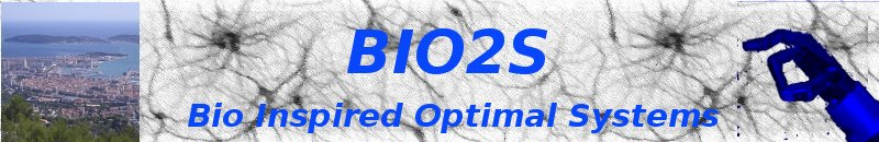 BIO Inspired Optimal Systems [ BIO2S ]